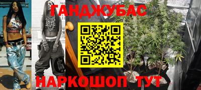 индика Лесосибирск