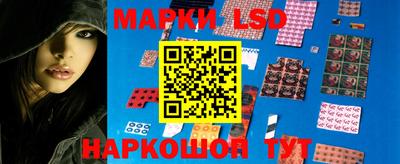 индика Лесосибирск