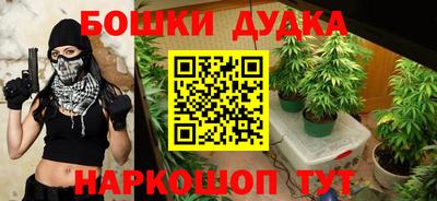 индика Лесосибирск