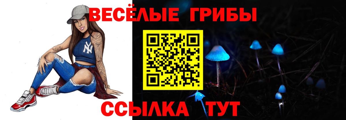 Владивосток  Псилоцибиновые грибы Cubensis  Вход с VPN 